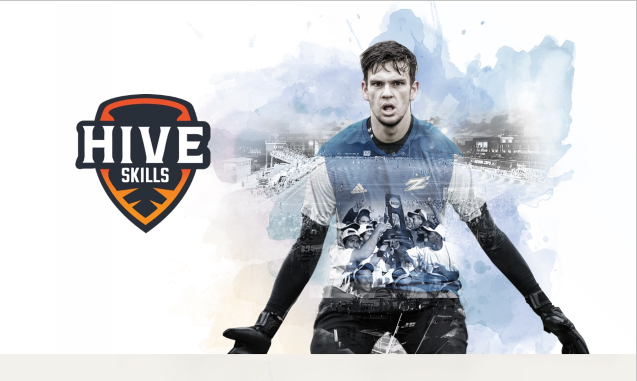 Hive Skills logo and brand imagery